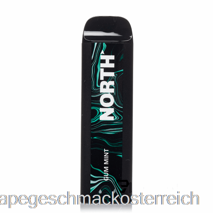 North 5000 Einweggummi Mit Mint-Vape-Geschmack
